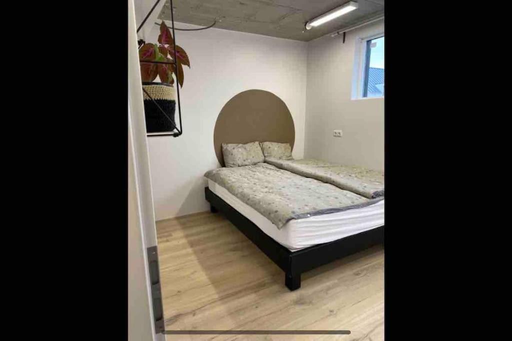 Modern Garage Suite - Free Parking & Self Check In Hveragerdi Ngoại thất bức ảnh